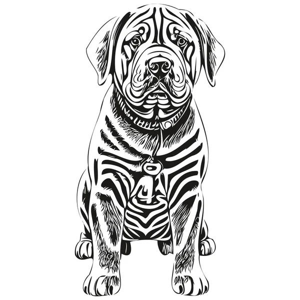 China Shar Pei Dog Vector Face Draw Portrait Sketch Vintage — 스톡 벡터