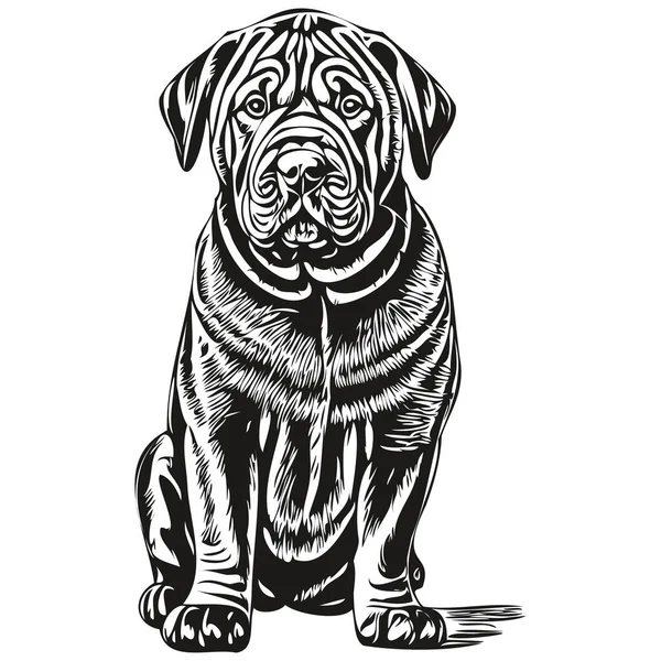 Chinese Shar Pei Vector Graphics Hand Draw Pencil Animal Line — 스톡 벡터
