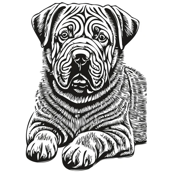 中国沙培狗矢量图形 手绘铅笔动物线条图解逼真品种宠物 — 图库矢量图片