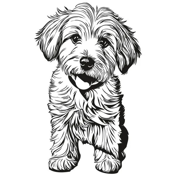 Coton Tulear Pes Černý Kreslící Vektor Izolované Malování Obličeje Skica — Stockový vektor