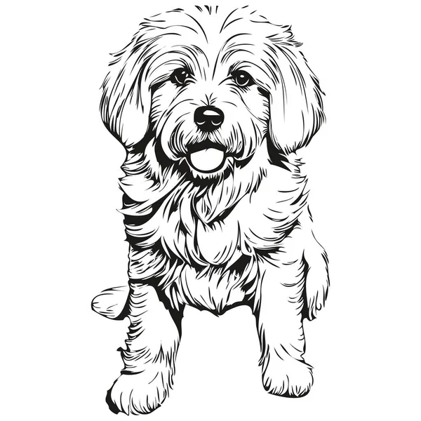 Coton Tulear Hund Schwarzer Zeichenvektor Isoliertes Kinderschminken Skizze Linienillustration — Stockvektor