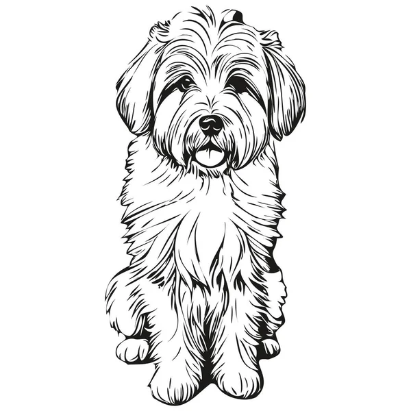 Coton Tulear Pes Kreslený Obličej Inkoust Portrét Černá Bílá Skica — Stockový vektor