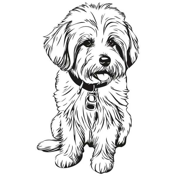綿デTulear犬の品種の線画 クリップアート動物の手の描画ベクトル黒と白のスケッチの描画 — ストックベクタ