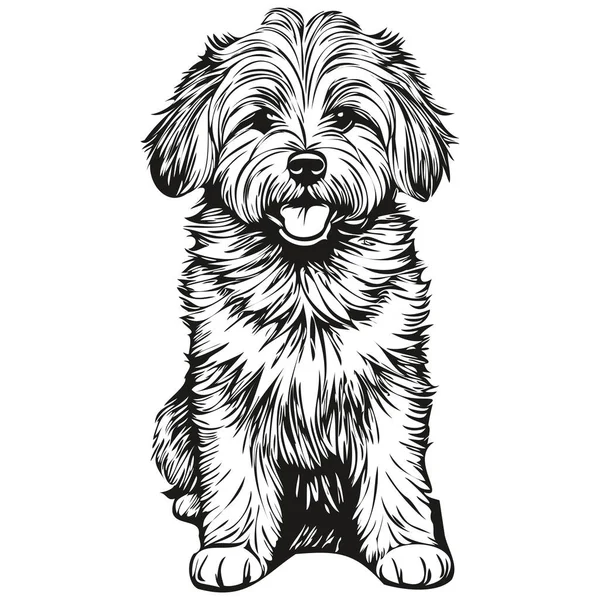 Coton Tulear Cão Desenho Animado Rosto Tinta Retrato Preto Branco — Vetor de Stock