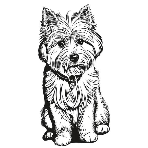 Coton Tulear Retrato Tinta Cara Dibujos Animados Para Perros Dibujo — Vector de stock