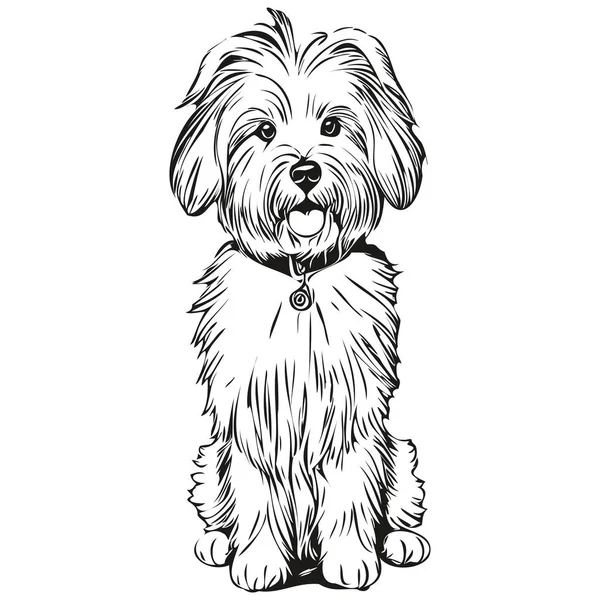 Coton Tulear Cão Gravado Retrato Vetorial Desenho Desenho Animado Rosto — Vetor de Stock