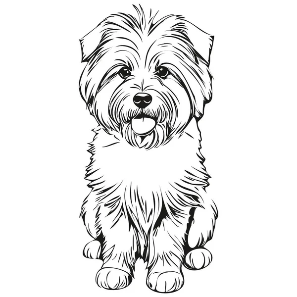 Coton Tulear Hund Hand Dras Logotyp Ritning Svart Och Vit — Stock vektor