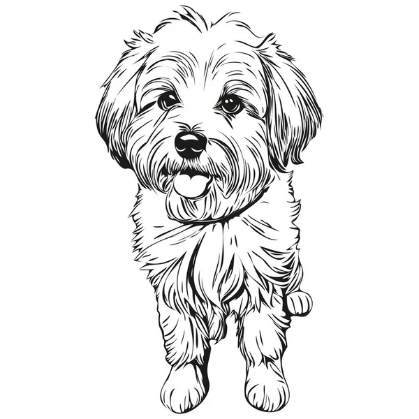 Coton Tulear Hund Handgezeichnetes Logo Zeichnung Schwarz Weiße Linie Kunst — Stockvektor
