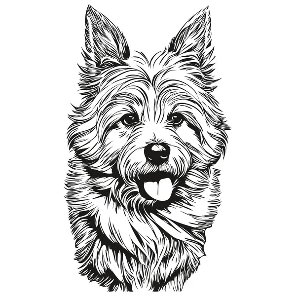 Coton Tulear狗狗手绘标识画上黑白线条的艺术宠物图解T恤衫打印 — 图库矢量图片