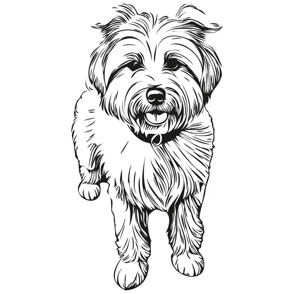 Coton Tulear Cão Cabeça Linha Desenho Vetor Desenhado Mão Ilustração — Vetor de Stock