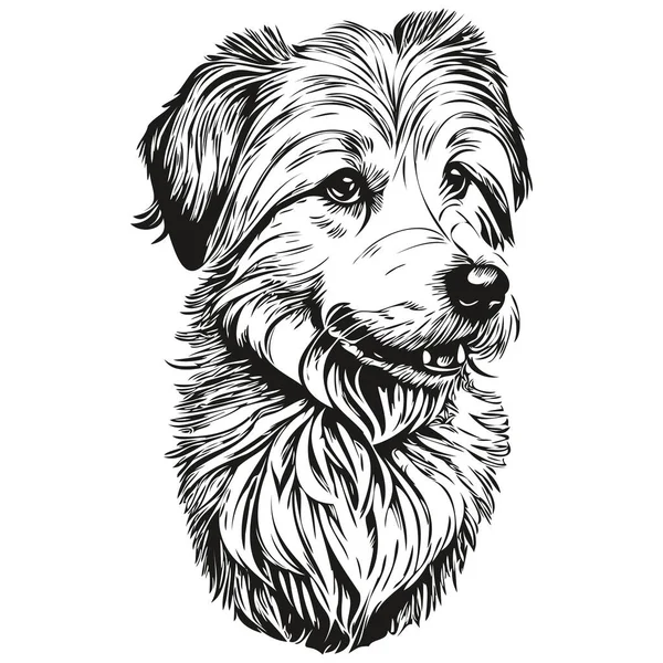 Coton Tulear Dog Logo Vector Black White Vintage Cute Dog — Stock Vector