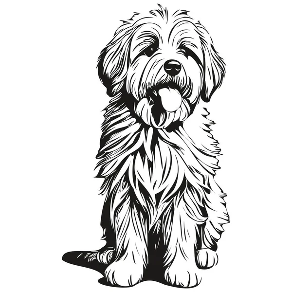 Logotipo de cachorro pastor inglês antigo vetor preto e branco vintage  cabeça de cachorro fofo desenho de esboço gravado