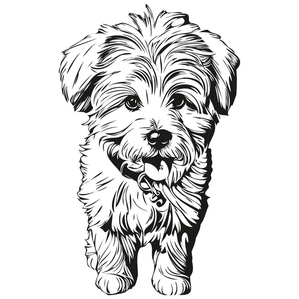 綿デTulear犬のロゴベクトル黒と白 ヴィンテージかわいい犬の頭の彫刻スケッチ図面 — ストックベクタ