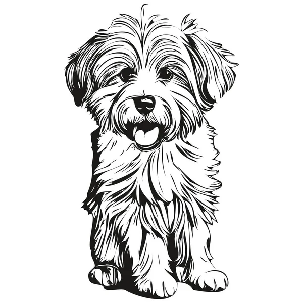 Coton Tulear Σκυλί Περίγραμμα Μολύβι Σχέδιο Τέχνης Μαύρο Χαρακτήρα Λευκό — Διανυσματικό Αρχείο