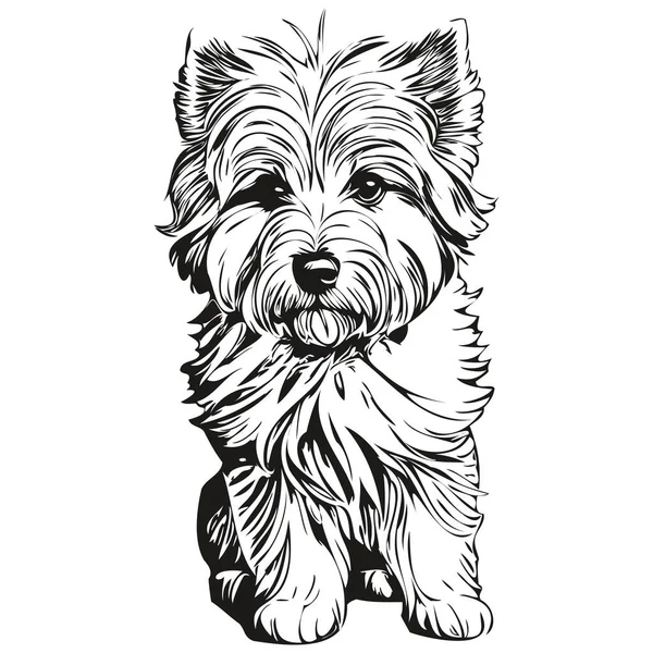 綿デTulear犬鉛筆手描きベクトル アウトラインイラストペットの顔のロゴ黒と白 — ストックベクタ