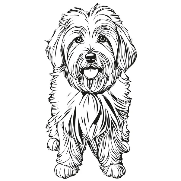 Coton Tulear Dog Silhouette บรรท ดภาพวาดม อวาดเวกเตอร าและส ขาว — ภาพเวกเตอร์สต็อก