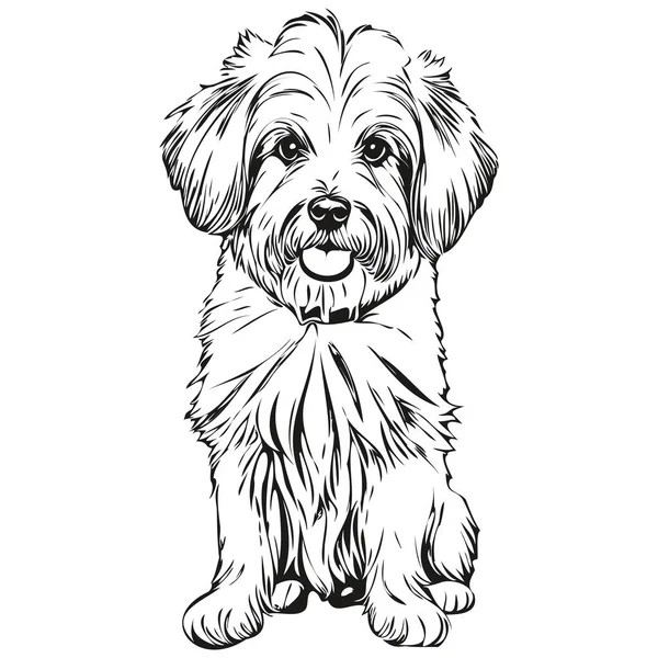 Coton Tulear Dog Pet Sketch Illustration Black White Engraving Vector — Stock Vector