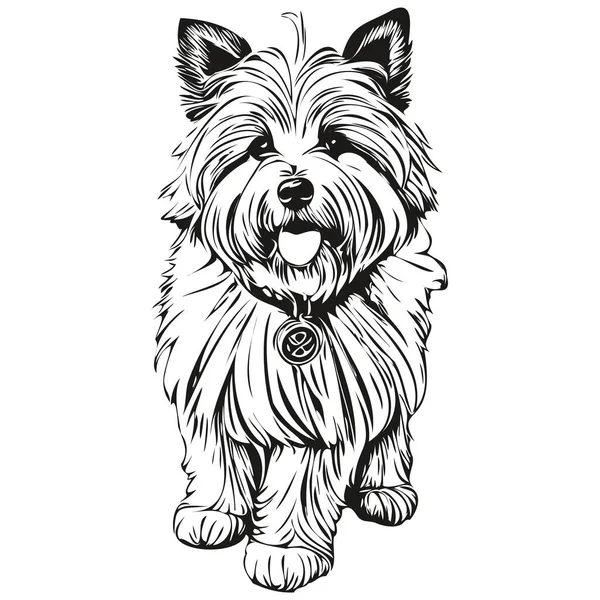 Coton Tulear Ritratto Del Cane Vettore Disegno Mano Animale Tatuaggio — Vettoriale Stock