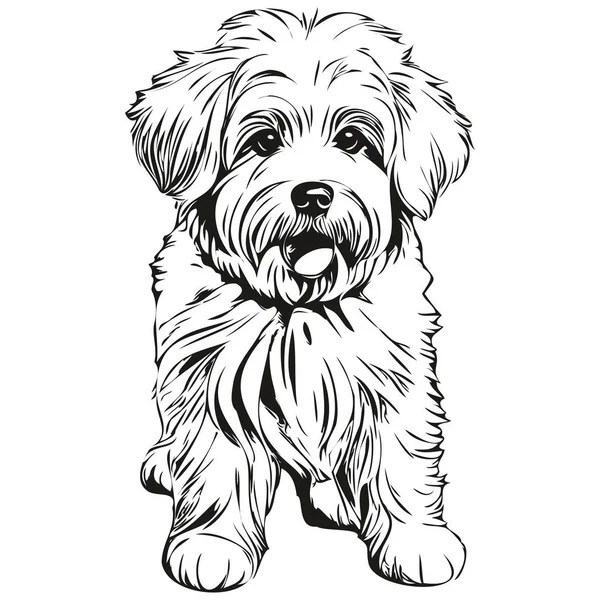 綿デTulear犬の現実的な鉛筆画ベクトル 犬の顔の線画黒と白の現実的なペットのシルエット — ストックベクタ