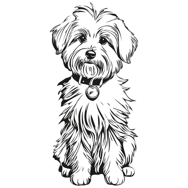 綿デTulear犬のシルエットペットキャラクター クリップアートベクトルペット黒と白の現実的なペットのシルエットを描く — ストックベクタ