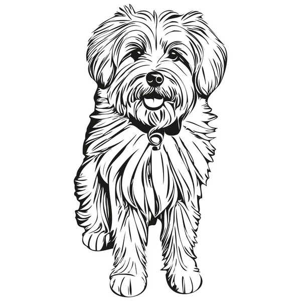 綿デTulear犬Tシャツプリント黒と白 かわいい面白いアウトライン描画ベクトルレディTシャツプリント — ストックベクタ