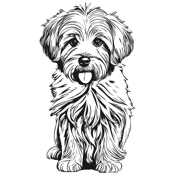 Coton Tulear Köpek Vektör Grafikleri Elle Çizilmiş Kalem Hayvan Çizgisi — Stok Vektör