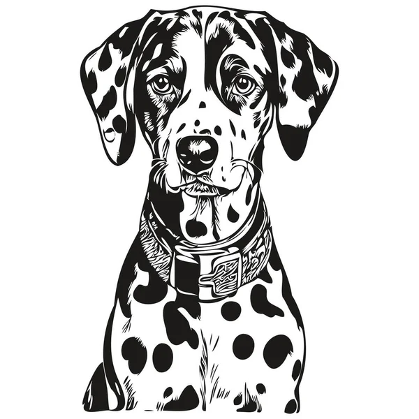 Dalmatian Cão Raça Linha Desenho Clip Arte Animal Mão Desenho — Vetor de Stock