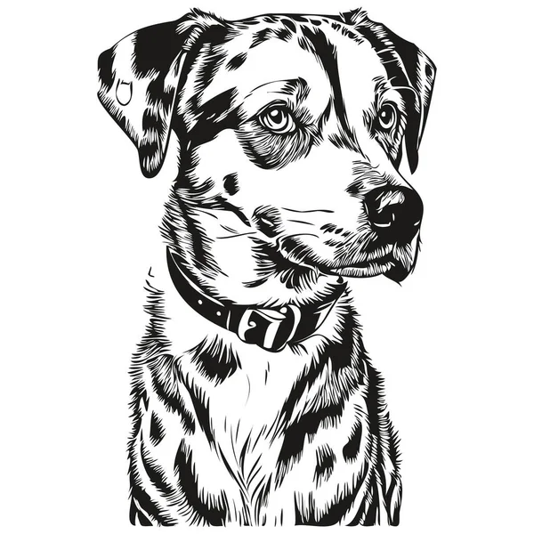 Далматинська Собака Головою Лінії Малювання Вектор Ручна Намальована Ілюстрація Прозорим — стоковий вектор