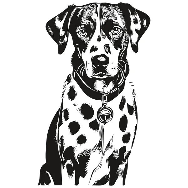 Dalmatian Dog Line Illustration Black White Ink Sketch Face Portrait — Stock Vector