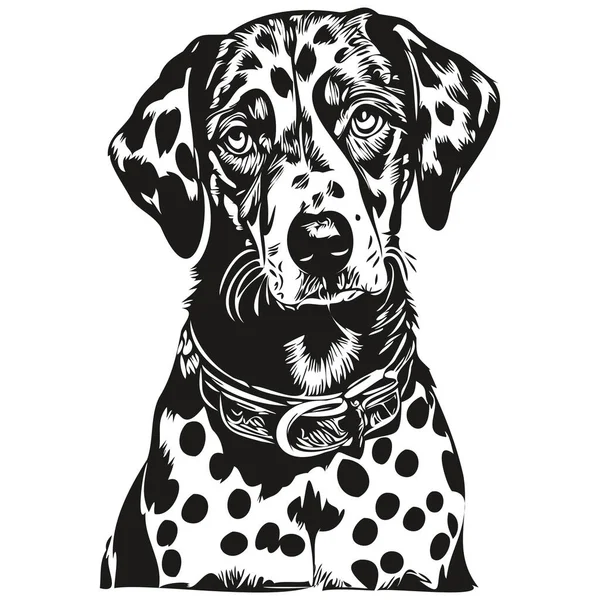 Dalmatien Chien Contour Crayon Dessin Illustration Caractère Noir Sur Fond — Image vectorielle