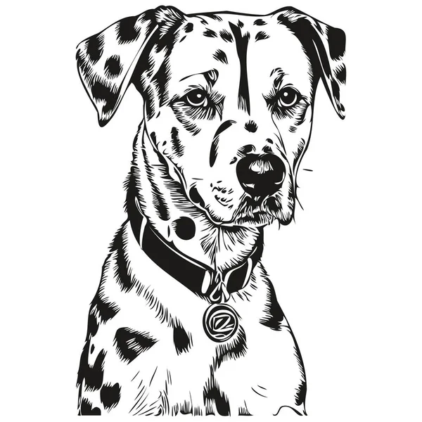 Dalmacia Perro Realista Mascota Ilustración Mano Dibujo Cara Negro Blanco — Vector de stock