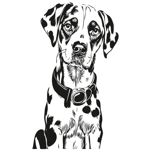 Dalmatian Dog Pet Silhouette Animal Line Illustration Hand Drawn Black — Stock Vector
