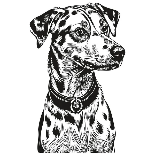 达尔马提亚犬的人物形象 剪贴画的艺术载体宠物画黑白 — 图库矢量图片