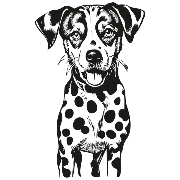 Далматинская Векторная Графика Собаки Ручной Рисунок Линии Карандаша Животного Иллюстрация — стоковый вектор