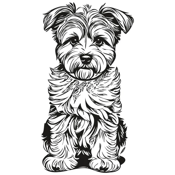 Dandie Dinmont Terriers Perro Negro Dibujo Vector Cara Aislada Dibujo — Vector de stock