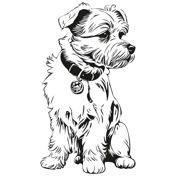 Dandie Dinmont Terriers Perro Negro Dibujo Vector Cara Aislada Pintura — Archivo Imágenes Vectoriales