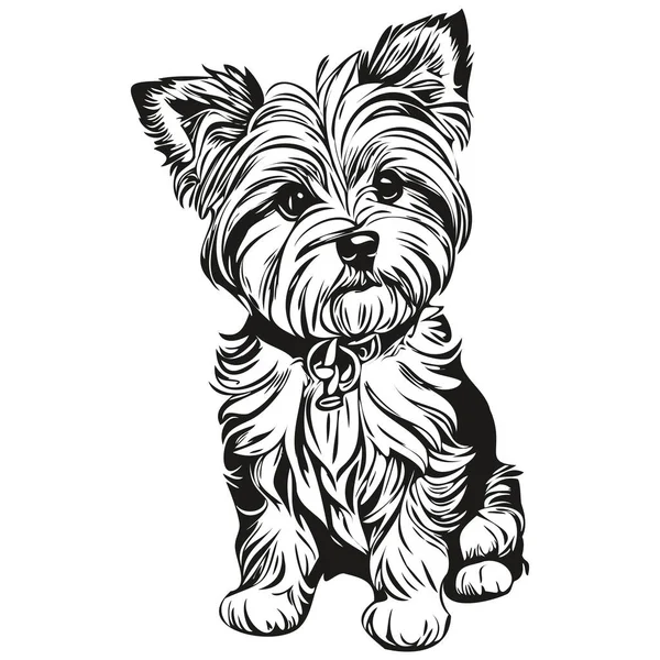 Dandie Dinmont Terriers犬の品種の線画 クリップアート動物の手の描画ベクトル黒と白の現実的な品種のペット — ストックベクタ