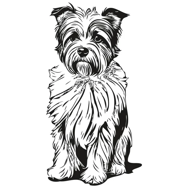 Dandie Dinmont Terriers Chien Dessin Animé Visage Encre Portrait Dessin — Image vectorielle