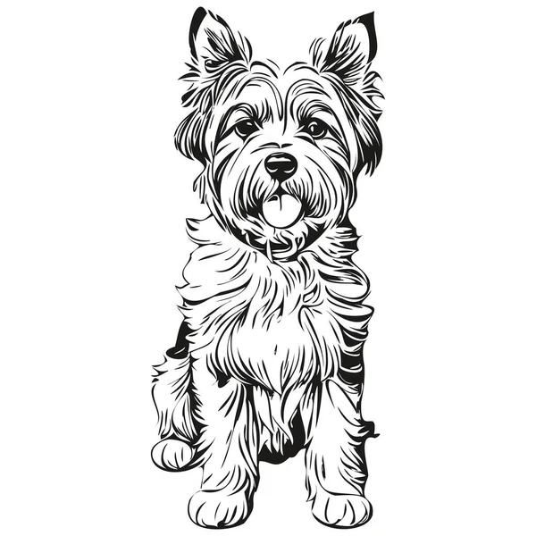 Dandie Dinmont Terrier Cane Inciso Ritratto Vettoriale Volto Cartone Animato — Vettoriale Stock