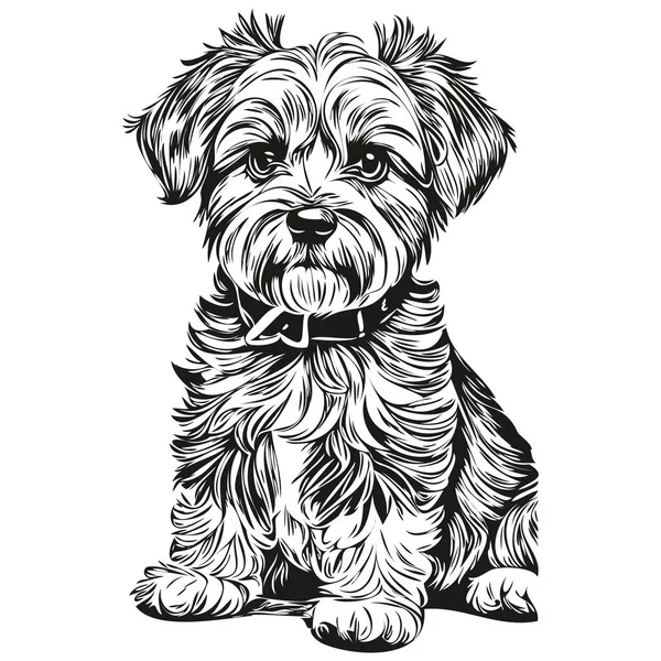 Dandie Dinmont Terriers Chien Gravé Portrait Vectoriel Dessin Vintage Visage — Image vectorielle