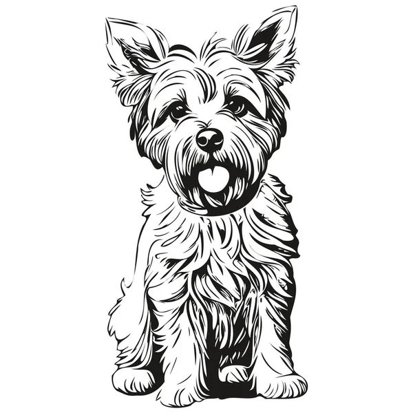 Dandie Dinmont Terriers犬の顔ベクトルの肖像画 面白いアウトラインペットイラスト白い背景現実的な品種ペット — ストックベクタ
