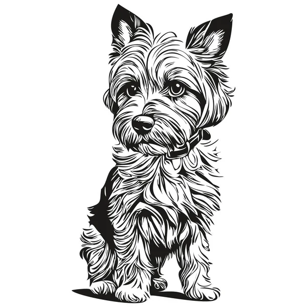 Dandie Dinmont Terrier Cane Disegnato Mano Logo Disegno Bianco Nero — Vettoriale Stock