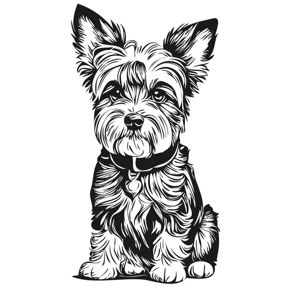 Dandie Dinmont Terriers Hund Huvud Linje Rita Vektor Handritad Illustration — Stock vektor