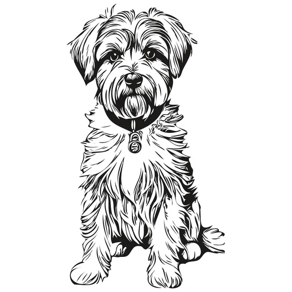 Dandie Dinmont Terrier Hund Handgezeichnetes Logo Zeichnung Schwarz Und Weiß — Stockvektor