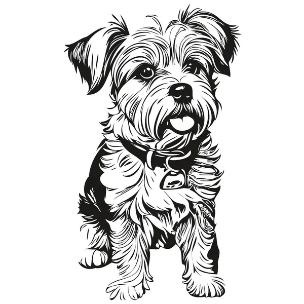 Dandie Dinmont Terriers Dog Isolated Drawing White Background Head Pet — Stock Vector