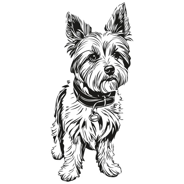 迪蒙可怕的狗墨水画 古色古香的纹身或T恤衫印黑白矢量逼真的宠物 — 图库矢量图片