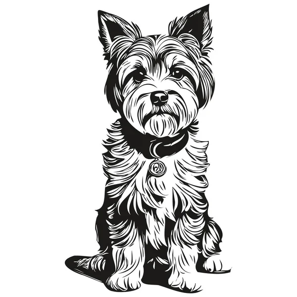 Dandie Dinmont Terriers Hund Bläck Skiss Ritning Vintage Tatuering Eller — Stock vektor