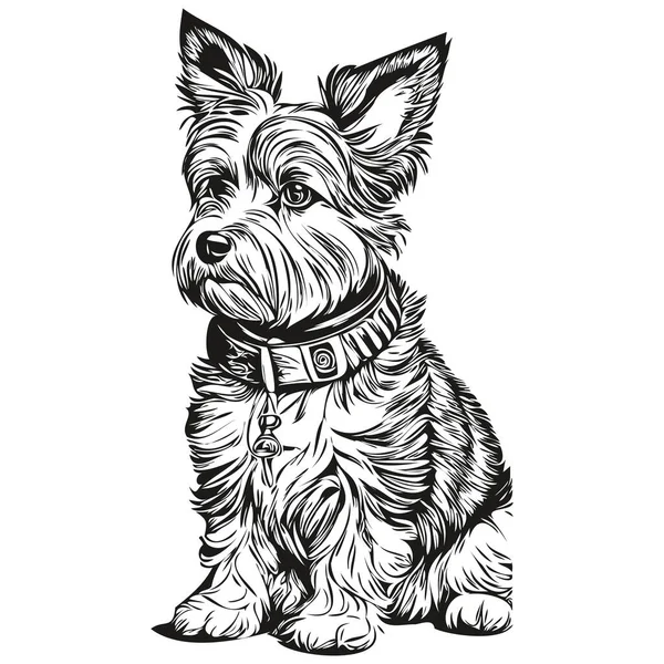 Dandie Dinmont Terriers Chien Ligne Illustration Croquis Encre Noire Blanche — Image vectorielle