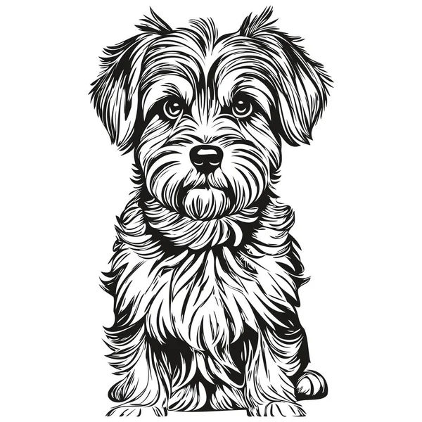 Dandie Dinmont Terriers ขโลโก เวกเตอร าและขาว นเทจแกะสล กสเก ภาพวาด — ภาพเวกเตอร์สต็อก