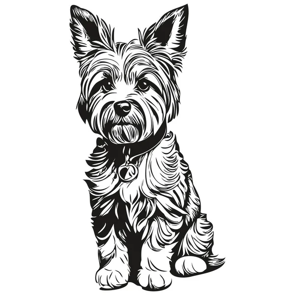 迪蒙恐怖狗的轮廓铅笔图画 白色背景上的黑色人物真实的宠物轮廓 — 图库矢量图片